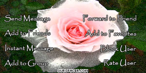 pink white rose contact table