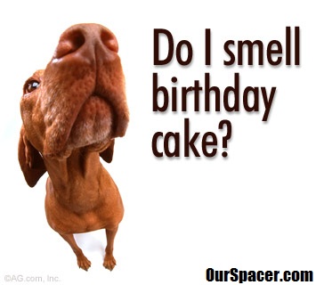 do you smell birthday cake myspace, friendster, facebook, and hi5 comment graphics