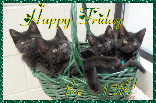 Cats in a basket Happy Friday the 13th myspace, friendster, facebook, and hi5 comment graphics