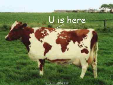 u is here myspace, friendster, facebook, and hi5 comment graphics