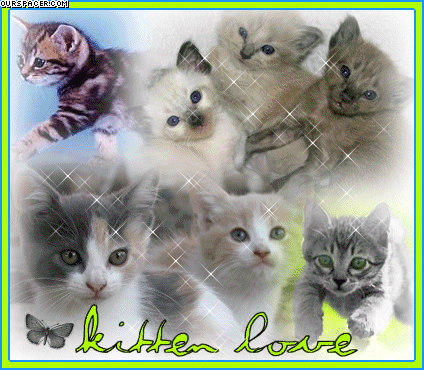 kitten love myspace, friendster, facebook, and hi5 comment graphics