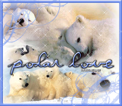 polar love graphics