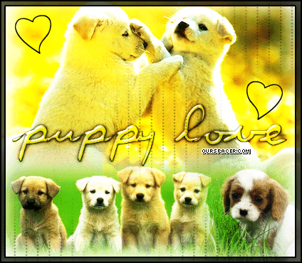 puppy love myspace, friendster, facebook, and hi5 comment graphics