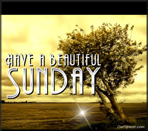 Have a beautiful Sunday, scenic sepia tree graphics