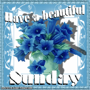 Have a beautiful Sunday blue flowers graphics
